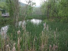 景点-西湖风景区-江洋畈生态公园