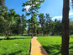 -黑龙江省森林植物园