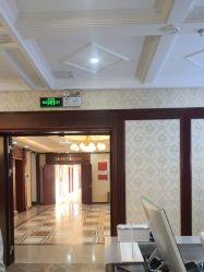 -南京医科大学友谊整形外科医院