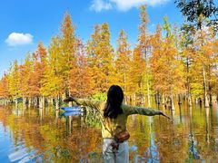 -白鹭湾湿地公园