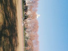 -鹦鹉寺公园
