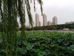 -后襄河公园