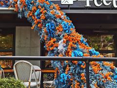 门面-Peet's 皮爷咖啡(东湖路手作店)