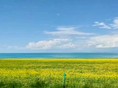 -青海湖国家重点风景名胜区