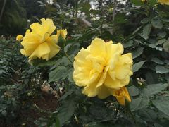 -人民公园(罗湖区)