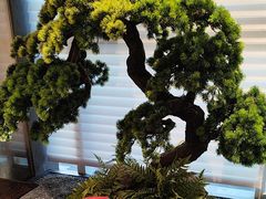 -苏淮景·苏闽融创菜·海鲜(原空港井河轩店)