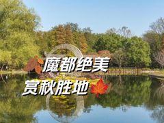 -上海共青森林公园