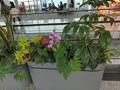 -杭州萧山国际机场