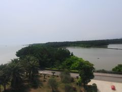 -大湾区中央湿地公园