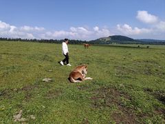 -芦芽山旅游度假区