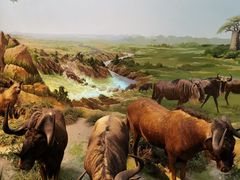 -陕西自然博物馆