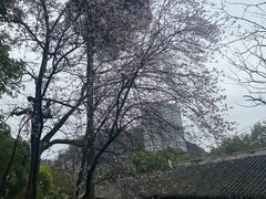 -阳明祠
