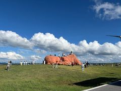-龙里油画大草原旅游区