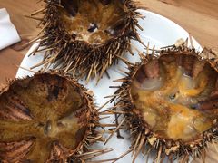 -海胆小馆(东北水饺·春柳店)