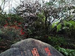 -墅园
