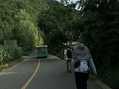 -王顺山国家森林公园