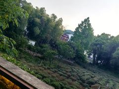 -野蔓果·山野菜(西湖景区·龙井茶田店)