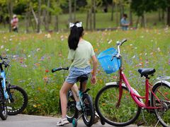-贵阳市花溪国家城市湿地公园