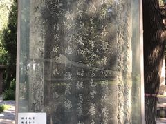 -赵州桥景区
