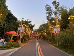 -苏州乐园森林水世界