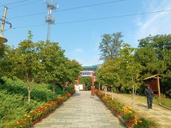 -云岗森林公园