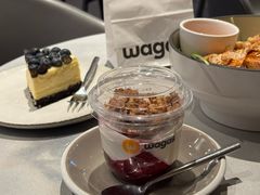 -Wagas沃歌斯(汇智店)