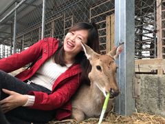 -鹿境梅花鹿生态园区