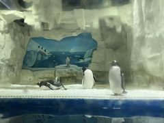 -华夏文旅西安度假区