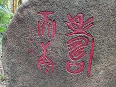 -呀诺达热带雨林