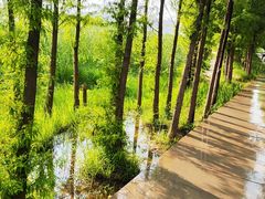 -北龙湖湿地公园