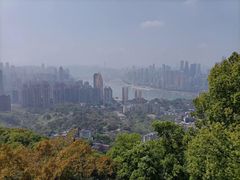 -大金鹰园