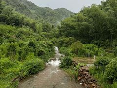 -龙坞茶村