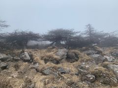 -秦岭风景区