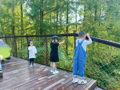 -黄海国家森林公园