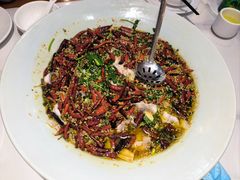 麻辣沸腾鱼-千椒百味•自贡盐帮川菜