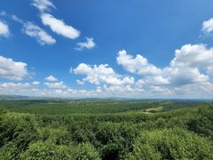 -御道口草原森林风景区