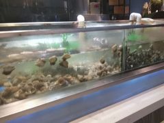 -V-ONE西雅图海鲜自助餐厅(仓山万达广场店)