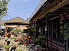 -山菌美食苑(振兴路店)