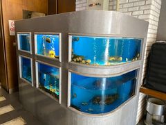 水产区-食神鱼头佛跳墙(百子湾旗舰店)
