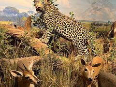 -陕西自然博物馆