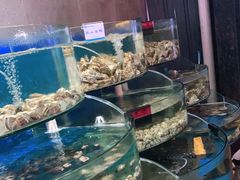 -蓝珊甄选海鲜自助·火锅大排档(近阿那亚店)