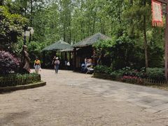 -合肥滨湖国家森林公园