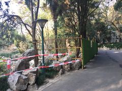 -叶家花园