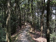 -西湖风景区十里琅珰-五云山