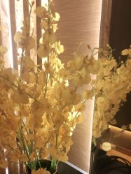 点击看大图 -栖SPA·ONDA ·海菲秀·皑皑科技美肤中心
