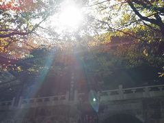 -穹窿山景区