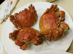 -王宝和酒家(黄浦店)