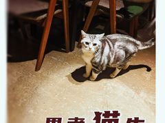 -咖法森林·咖啡  酒吧(天河店)