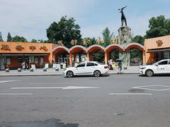 -成都动物园
