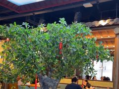 -三凤酒家·百年无锡菜(清扬茂业店)